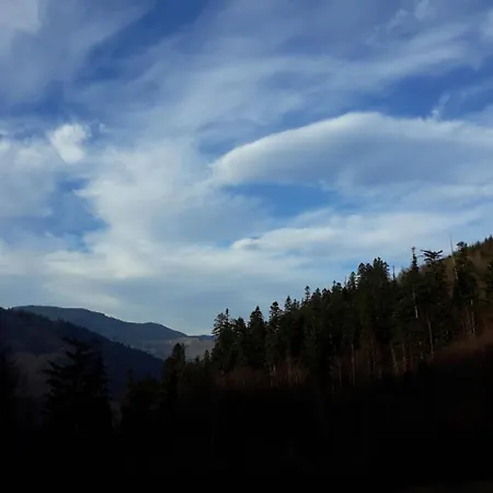 Dzherelo Hostel Yasinya