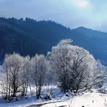 Dzherelo *